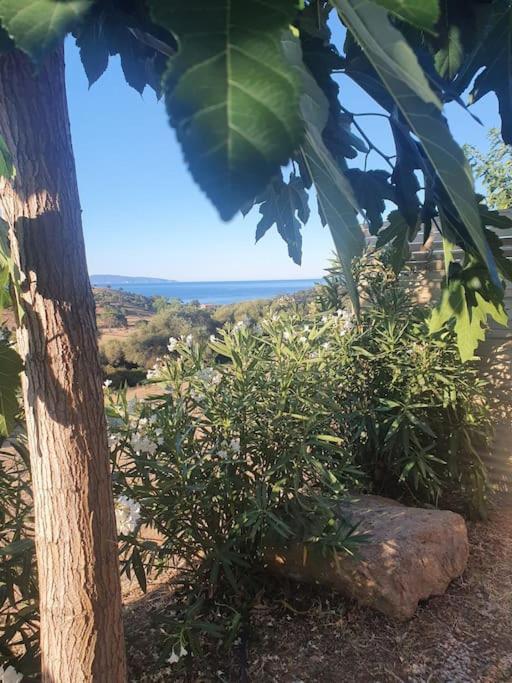 Studio Mitoyen A La Campagne Vue Sur La Mer Cargèse Εξωτερικό φωτογραφία